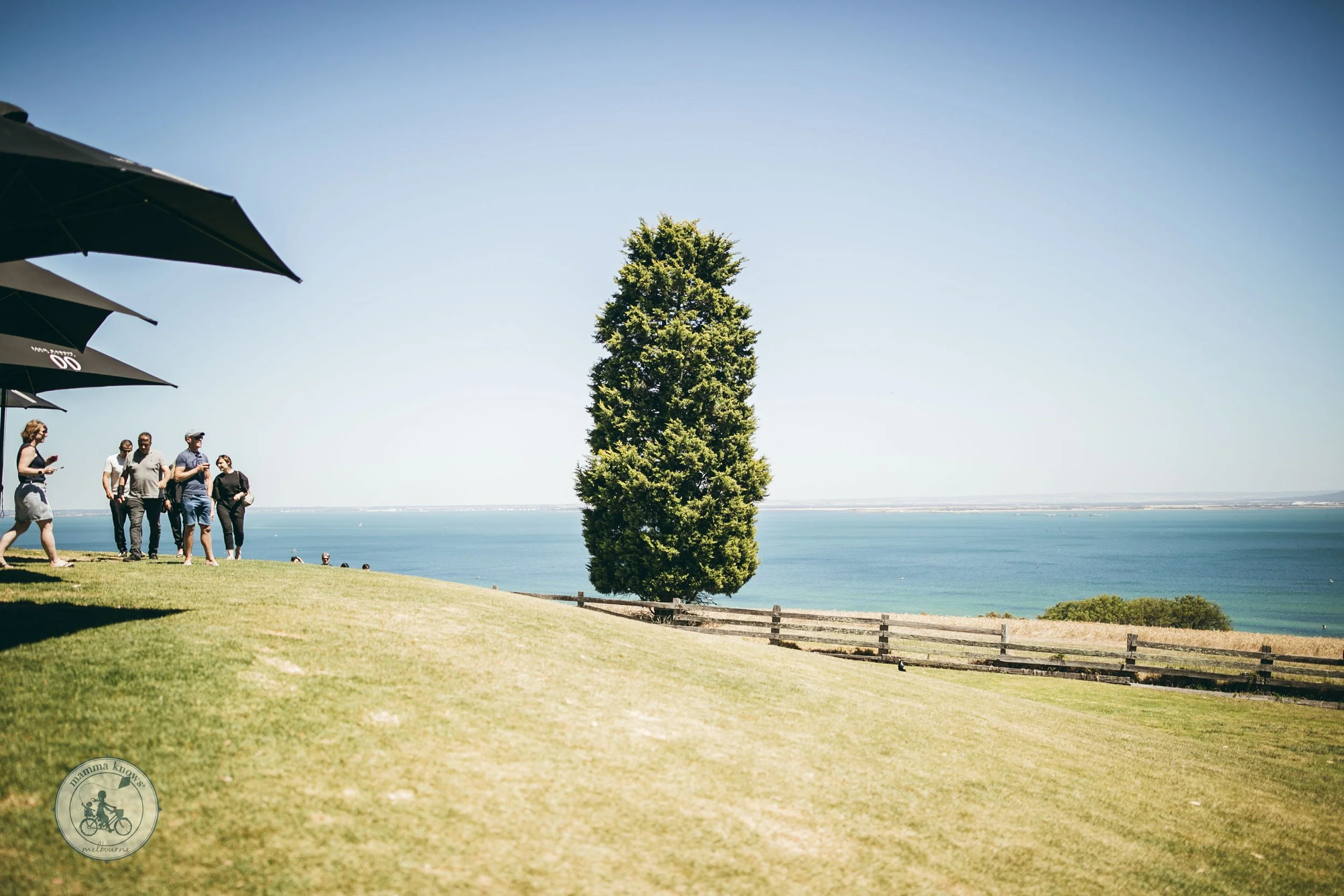 Jack rabbit deals winery